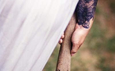 Der Zorn oder „Wen Gott vernichten will, den macht er wütend.“ (Euripides)