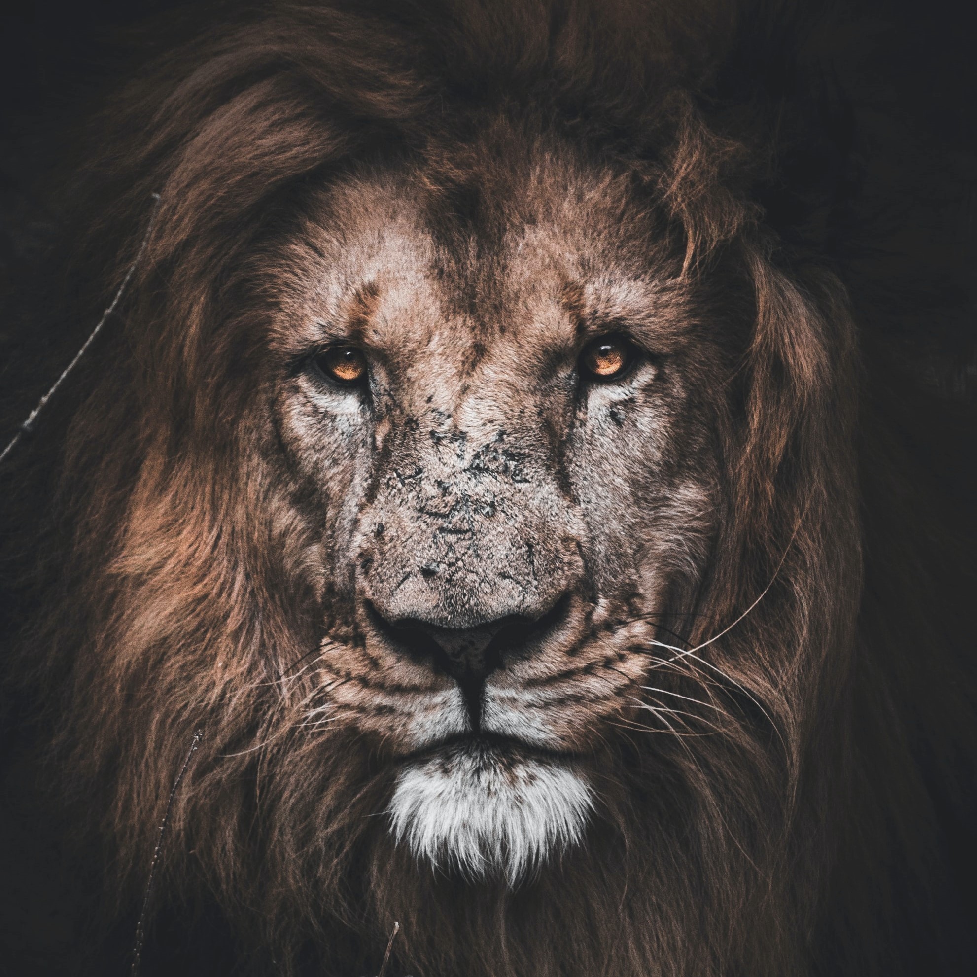 matthew-kerslake-BpH--upRlCs-unsplash1